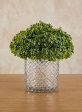 6in Tall Diamond Cut Glass Cylinder Decor Jamali Garden