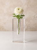 6in Tall Rectangle Crystal Glass Vase Decor Jamali Garden