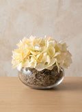 6in Wide Clear Glass Bowl Decor Jamali Garden
