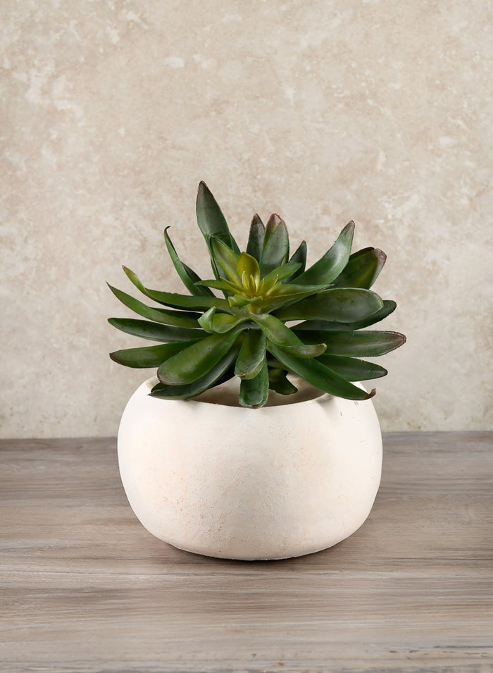 6in Wide Kasbah Natural Earth Tone Cement Bowl Decor Jamali Garden