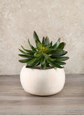 6in Wide Kasbah Natural Earth Tone Cement Bowl Decor Jamali Garden