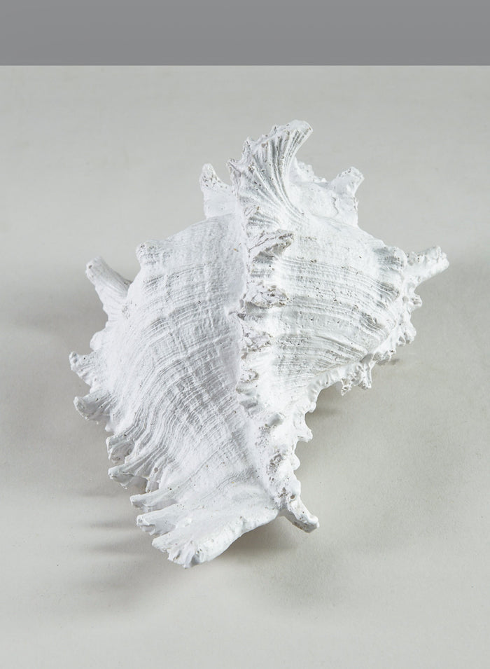 7.5in Long Artificial Giant Murex Seashell Decor Jamali Garden