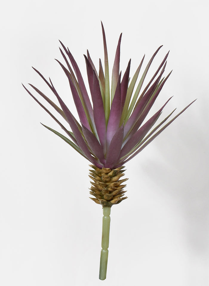 7.5in Long Marginata Pick, Case of 12 Decor Jamali Garden