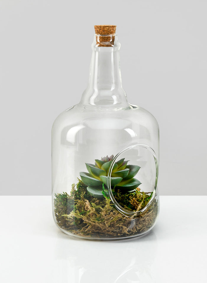 7.5in Tall Rio Bottle Glass Terrarium, Small Decor Jamali Garden