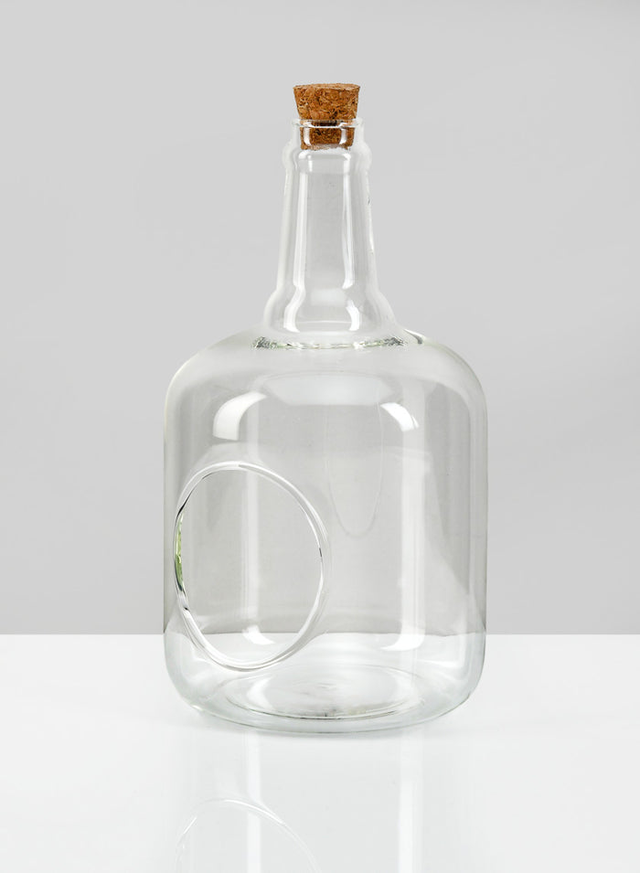 7.5in Tall Rio Bottle Glass Terrarium, Small Decor Jamali Garden