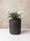 7in Tall Boheme Black Lava Ceramic Cylinder Pot, Case of 6 Decor Jamali Garden