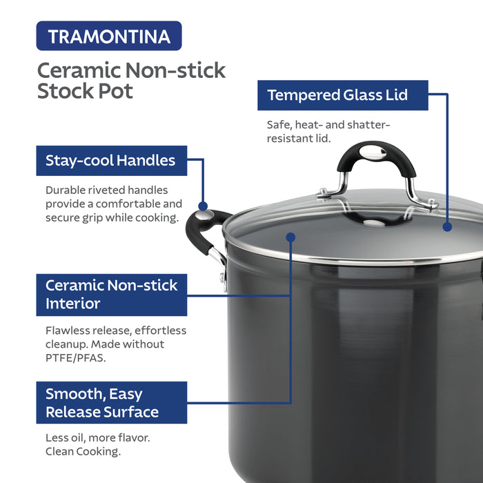 8 Quart Ceramic Nonstick Covered Stock Pot, Charcoal Gray