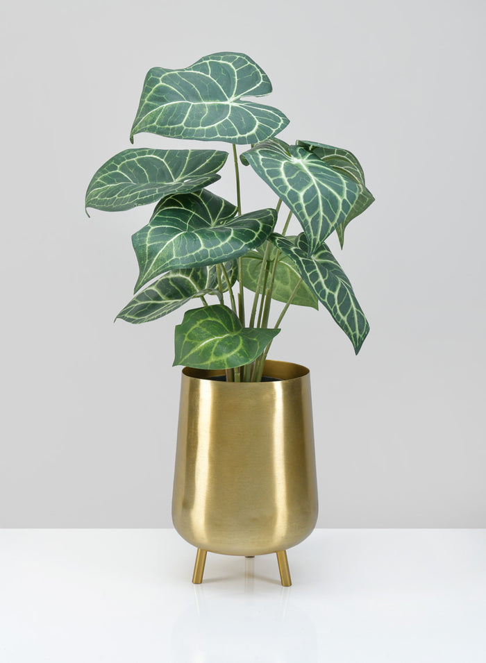 8in Tall Arash Gold Iron Mini Planter with Legs Decor Jamali Garden