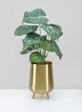 8in Tall Arash Gold Iron Mini Planter with Legs Decor Jamali Garden