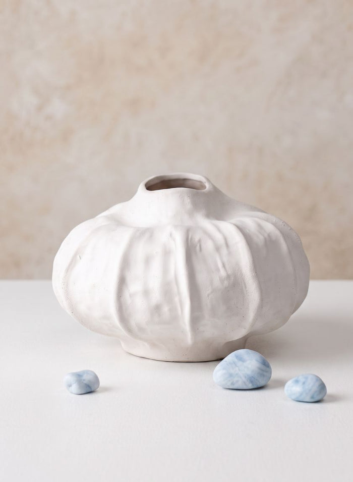 8in Wide Urchin Sand White Ceramic Deco Vase Decor Jamali Garden