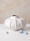 8in Wide Urchin Sand White Ceramic Deco Vase Decor Jamali Garden