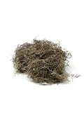 8oz SuperMoss Preserved Natural Spanish Moss Decor Jamali Garden