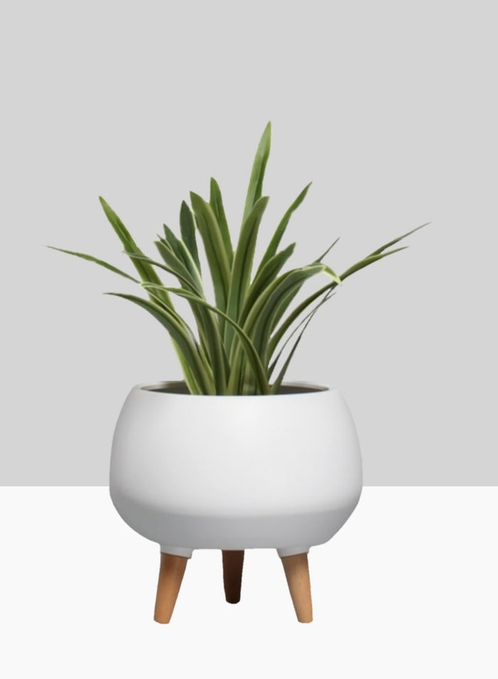9.5in Tall Breakers Matte White Ceramic Planter With Wood Legs Decor Jamali Garden