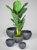 All Weather Light Weight Speckle Black Polyresin Planters Decor Jamali Garden