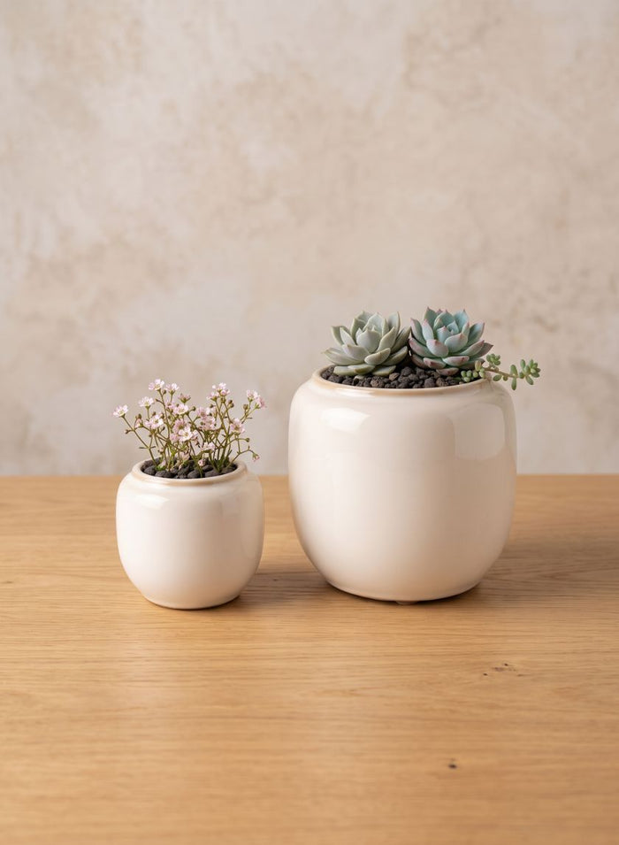Alsace White Cachepot Ceramic Vase, Case of 6 Decor Jamali Garden