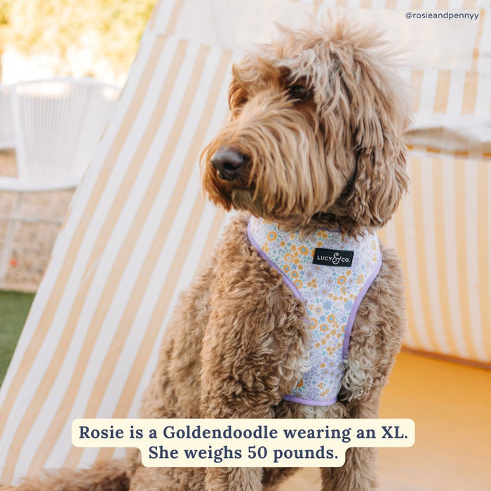 Among the Wildflowers Reversible Harness
