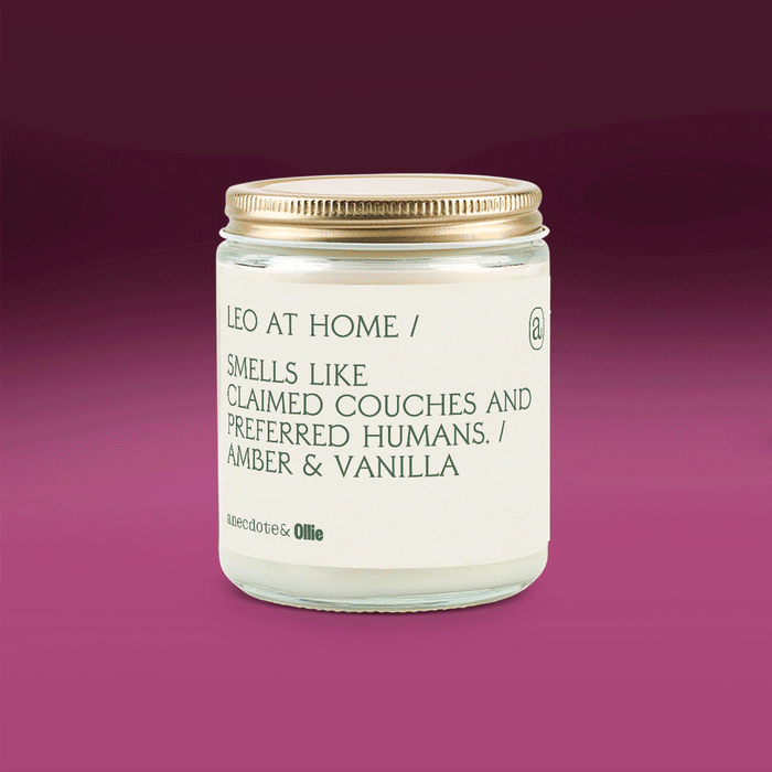 Anecdote&Ollie Cozy Custom Candle - Anecdote Candles