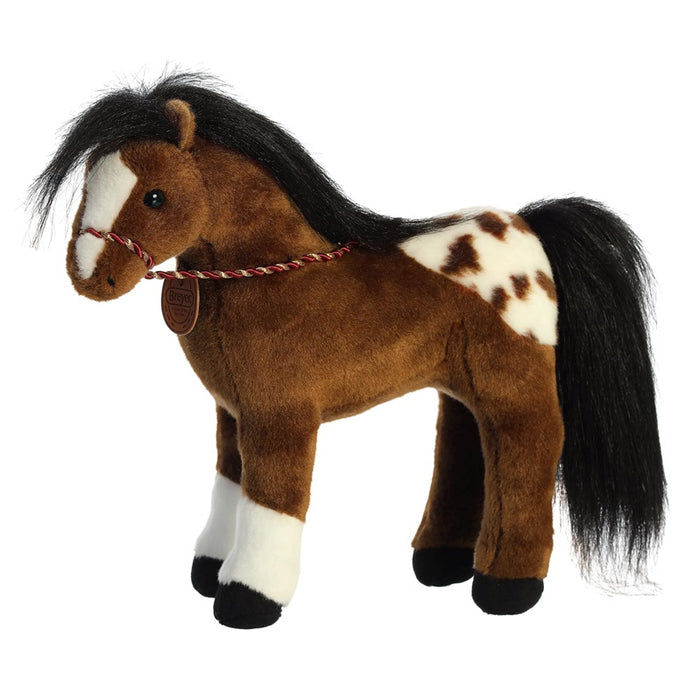 Appaloosa Horse