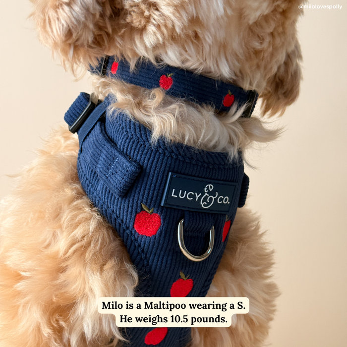 Appley Ever After Corduroy Collar
