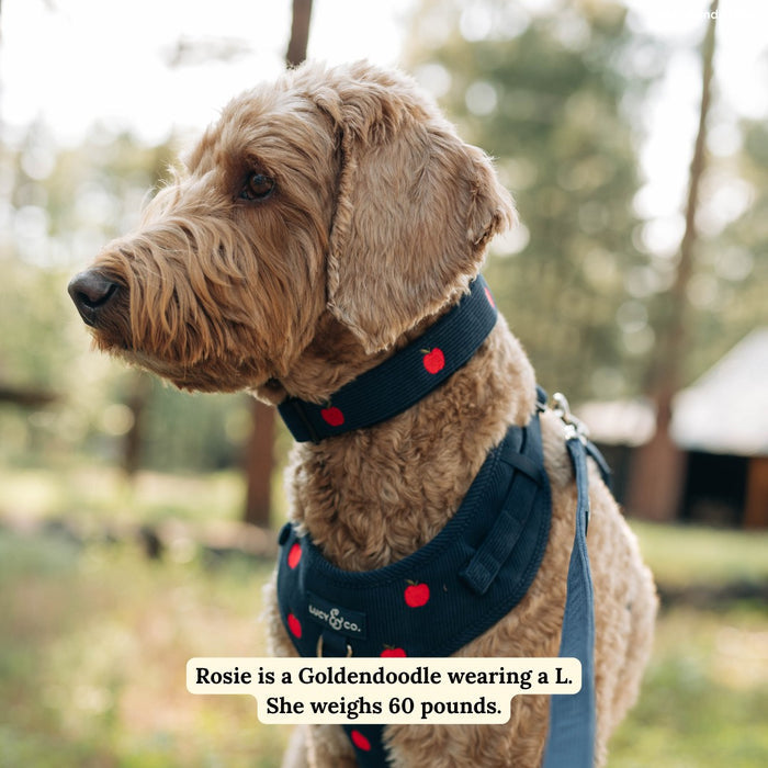 Appley Ever After Corduroy Collar