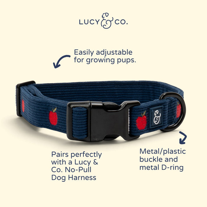 Lucy & Co. navy blue corduroy dog collar with red apple print, black buckle, and metal D-ring.