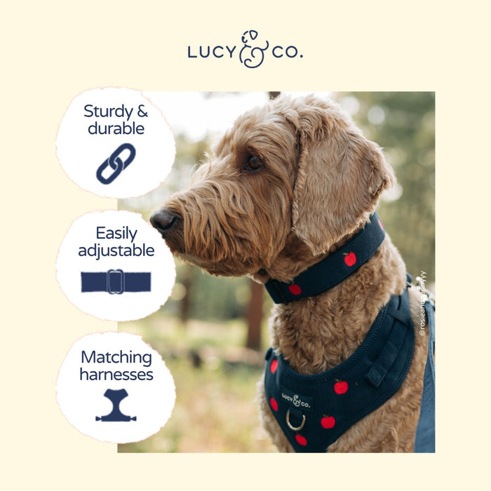 Appley Ever After Corduroy Collar