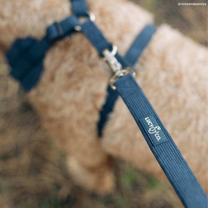 Appley Ever After Corduroy Leash