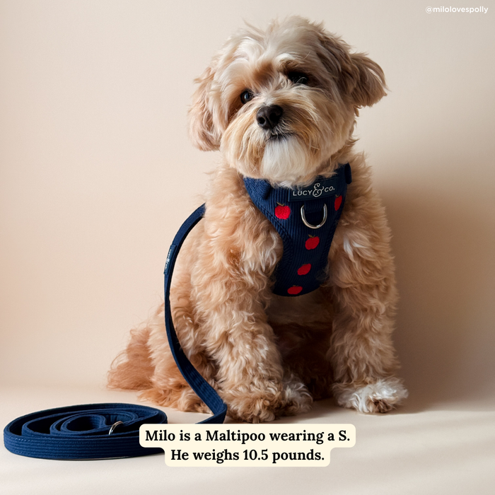 Appley Ever After Corduroy Leash
