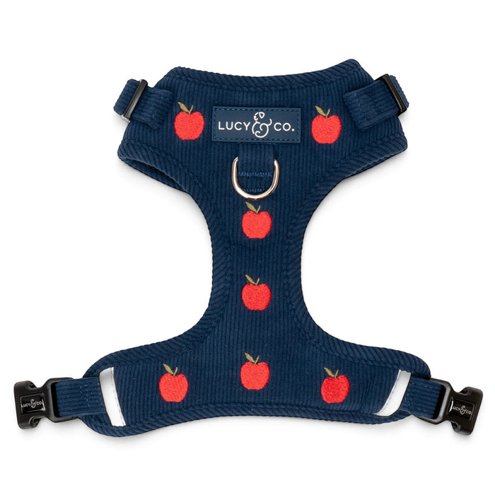 Lucy & Co. navy blue corduroy dog harness featuring a red apple print, front leash attachment, and adjustable straps.