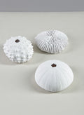 Artificial White Sea Urchins, Set of 3 Decor Jamali Garden