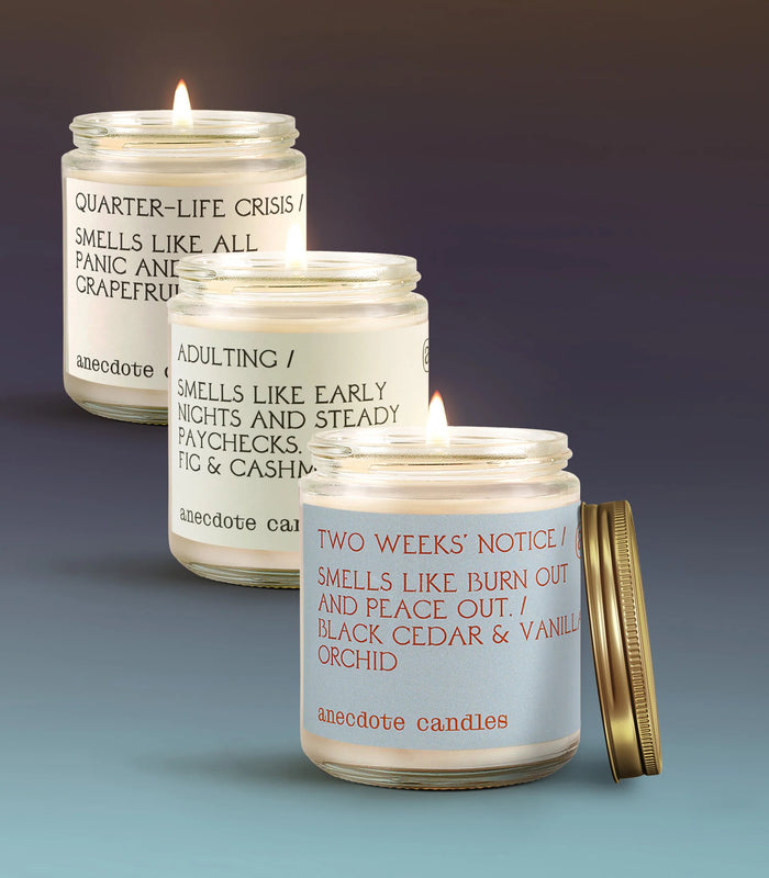 Aspirational Adult Bundle - Anecdote Candles