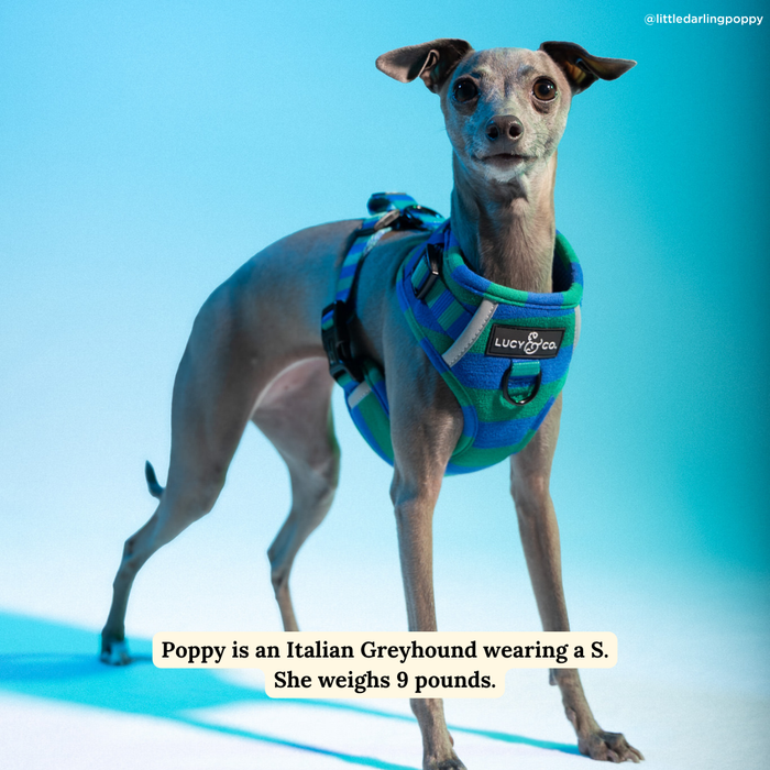 Beach Club No-Pull Harness