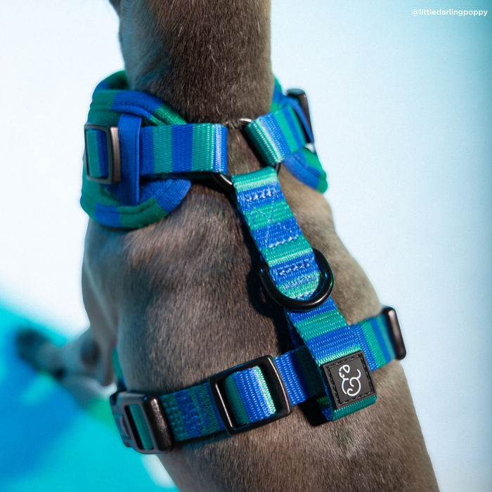 Beach Club No-Pull Harness
