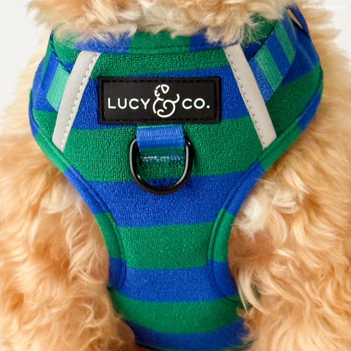 Beach Club No-Pull Harness