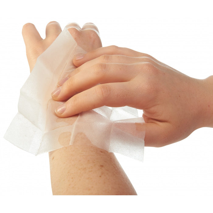 Ben's Tick Repellent Wipes