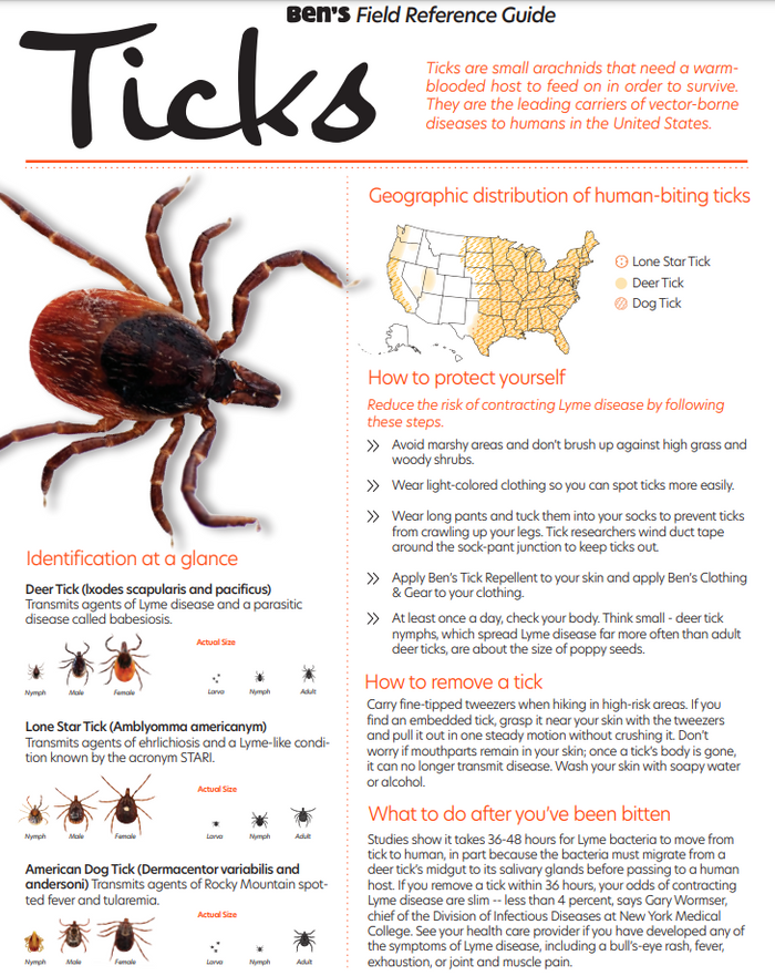 Ben's Tick Repellent Wipes