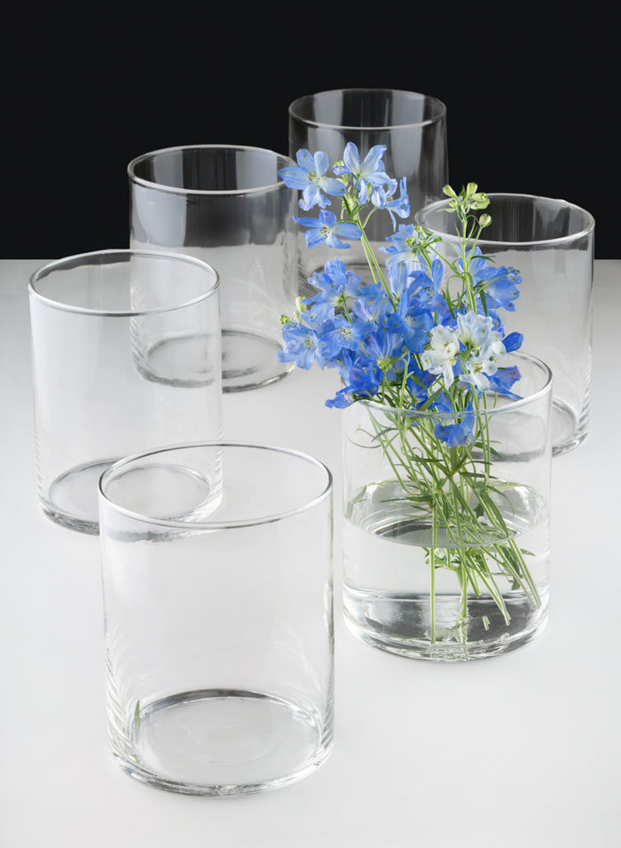 Best Value Glass Cylinder Vase, Set of 6 Decor Jamali Garden