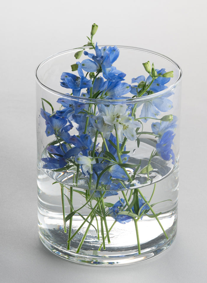 Best Value Glass Cylinder Vase, Set of 6 Decor Jamali Garden