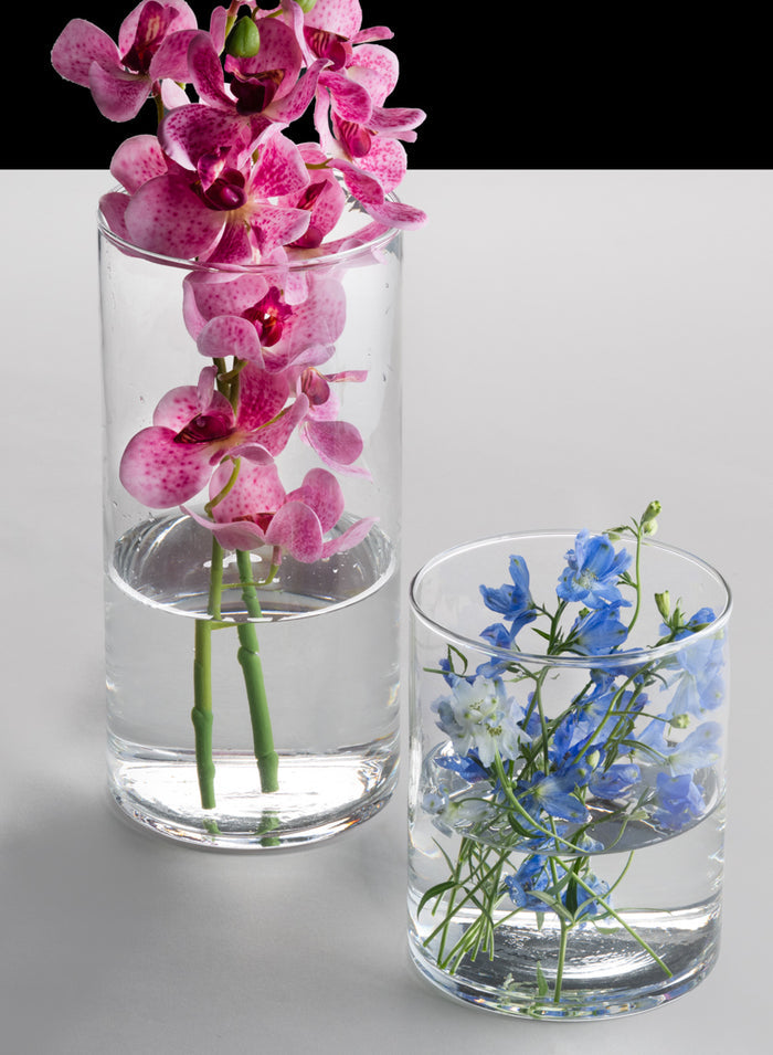 Best Value Glass Cylinder Vase, Set of 6 Decor Jamali Garden