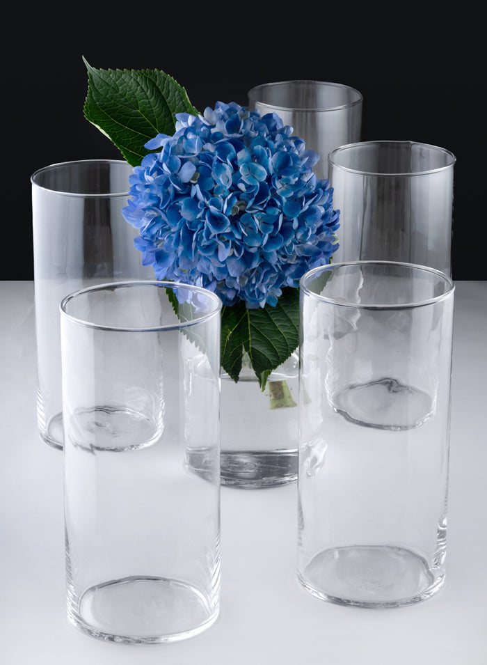 Best Value Glass Cylinder Vase, Set of 6 Decor Jamali Garden