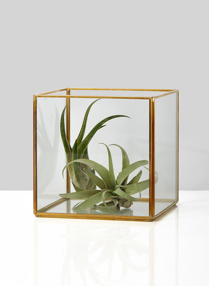 Beveled Glass Gold Square Hurricane Decor Jamali Garden