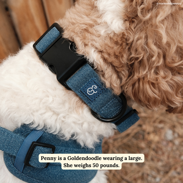 Blue Jeans Collar