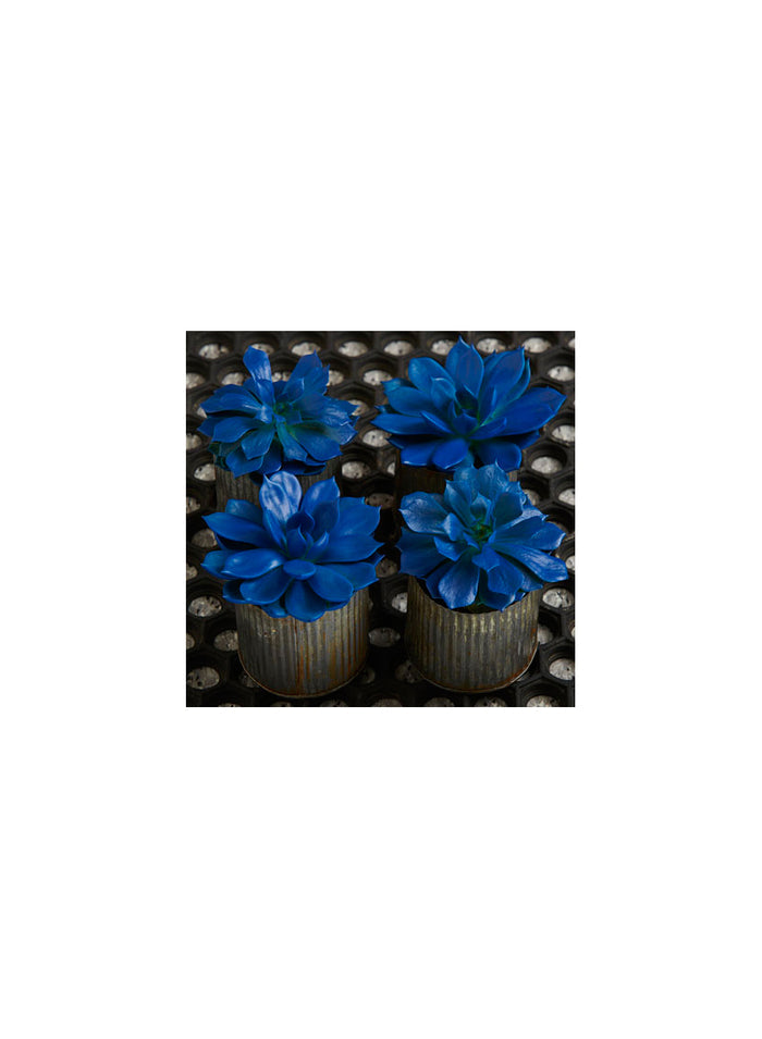 Blue Marlin Spray Paint #686 Decor Jamali Garden