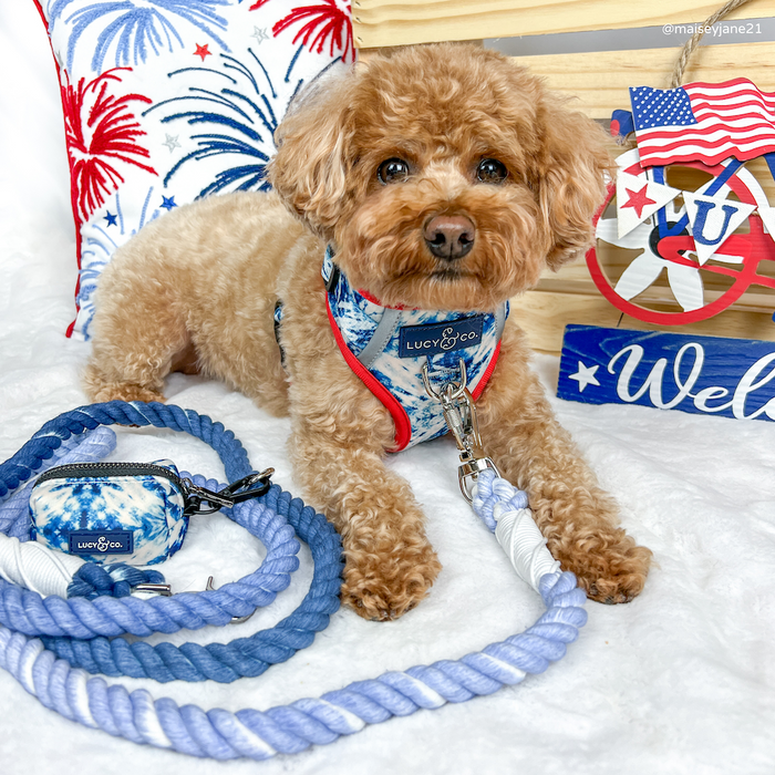 Blueberry Twist Hands-Free Rope Leash
