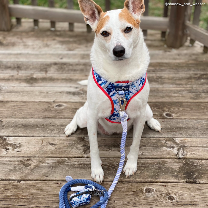 Blueberry Twist Hands-Free Rope Leash