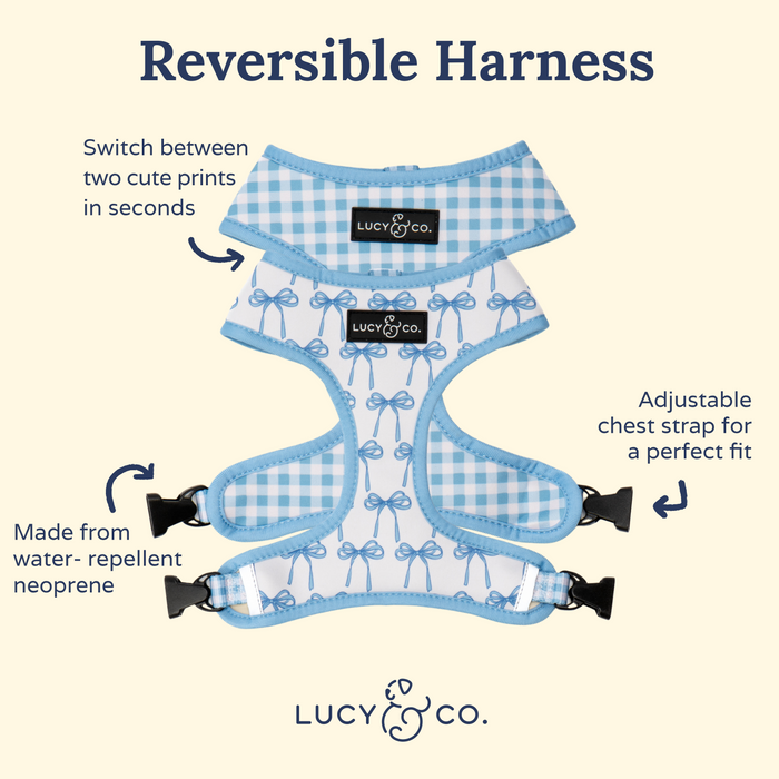 Bowwow Wow! Reversible Harness