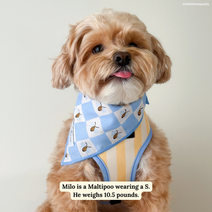 Bumbling Around Bandana