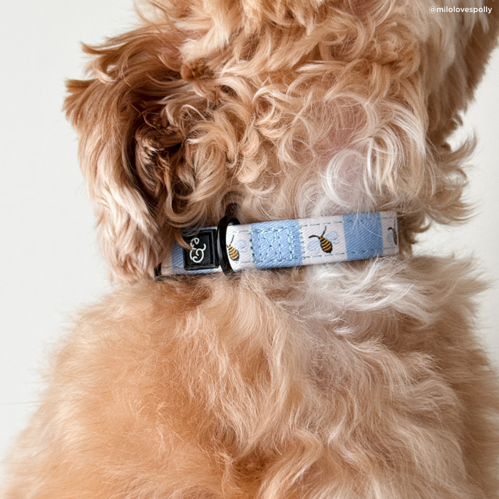 Bumbling Around Collar