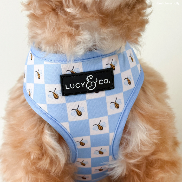 Bumbling Around Reversible Harness