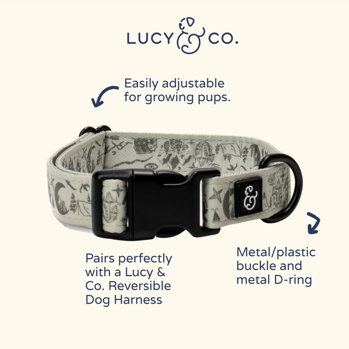 Camp Out Collar